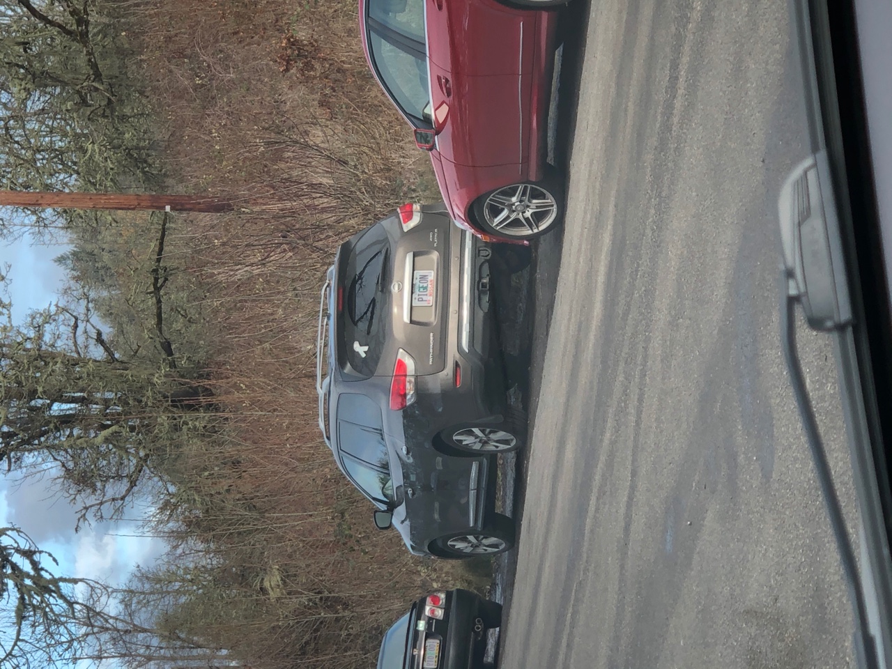 IMG_6207.jpeg