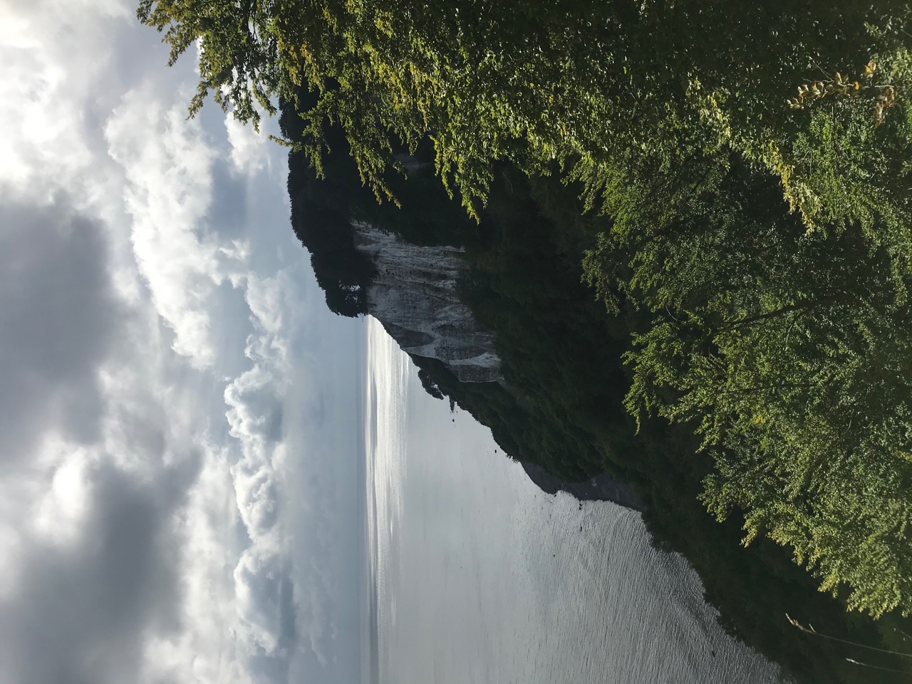 IMG_8040.jpeg