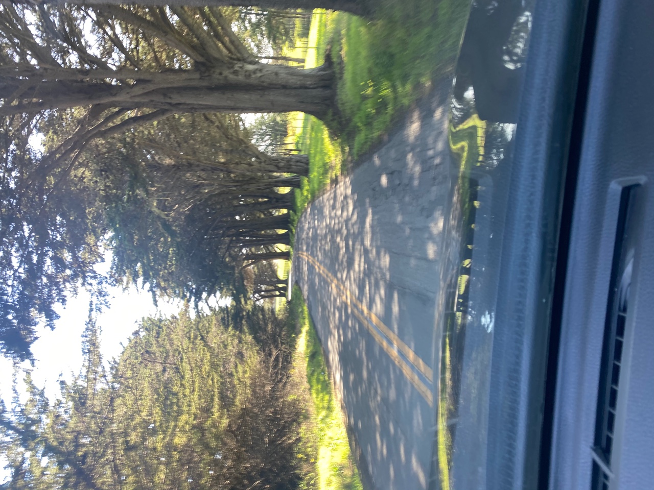 IMG_4882.jpeg