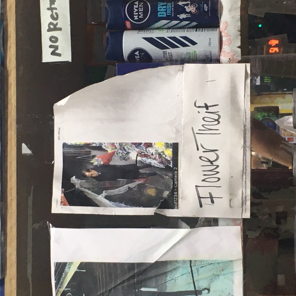 IMG_6762.jpeg