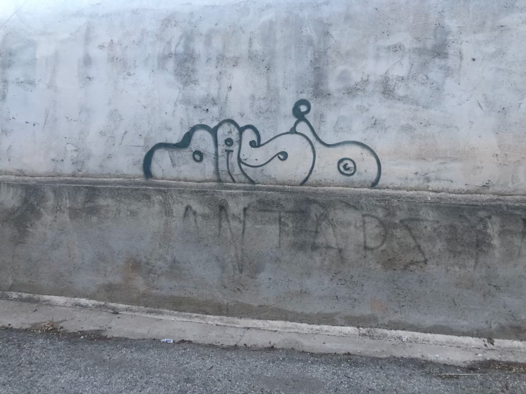 IMG_7307.png