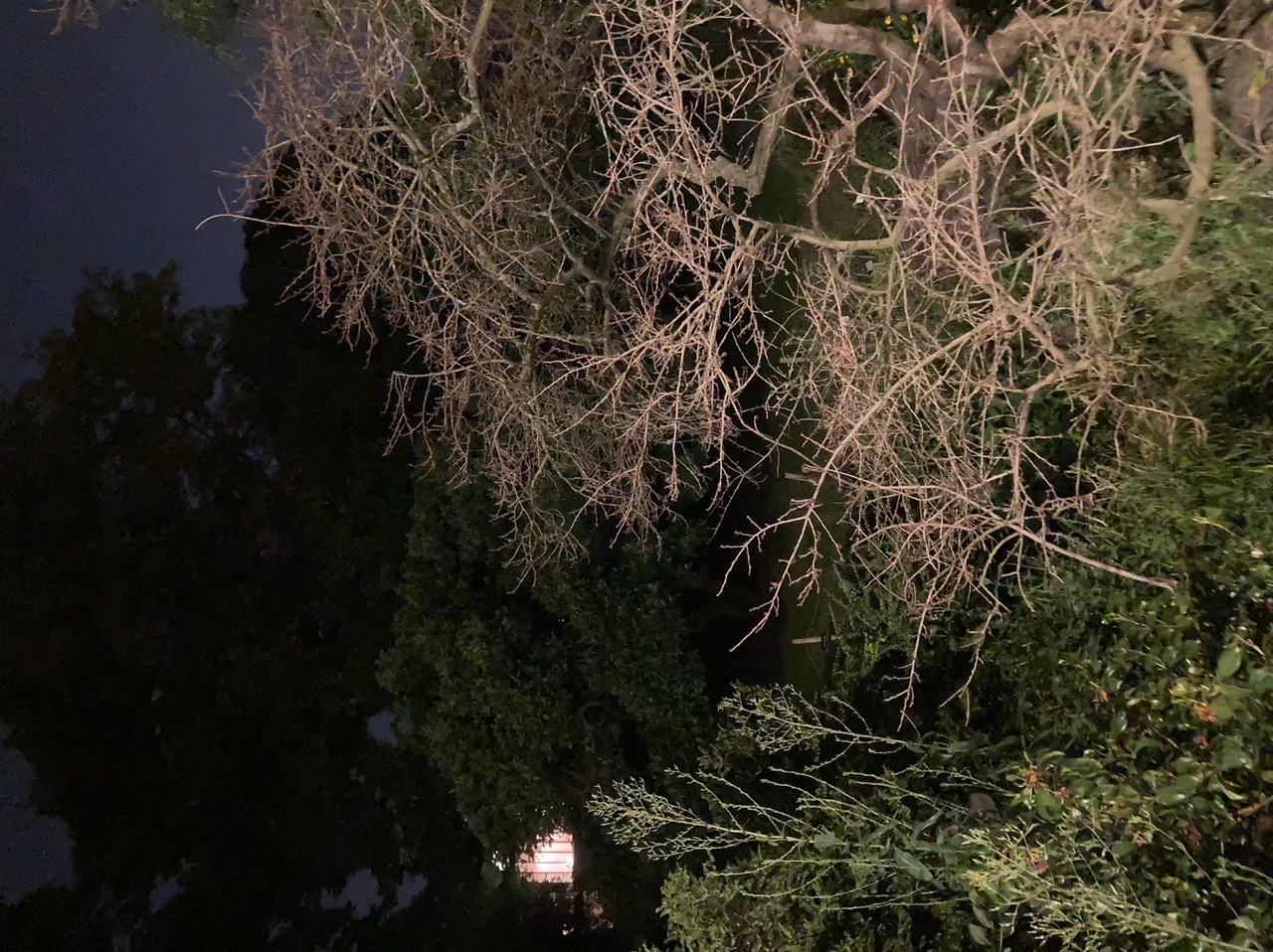 IMG_4955+3.jpeg