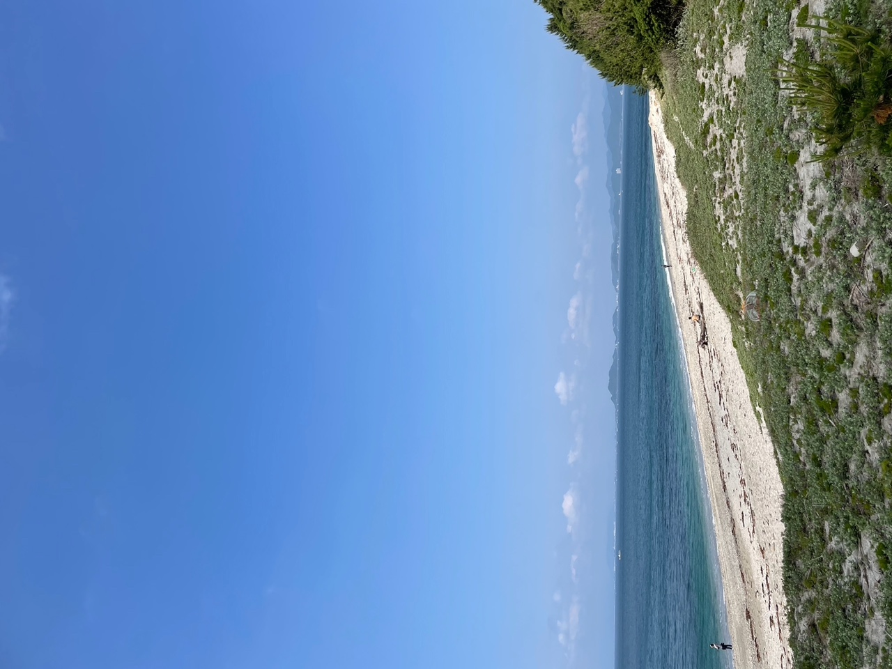 IMG_5893+3.jpeg