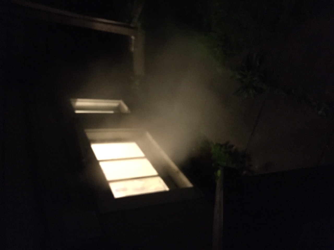 IMG_8123.jpeg