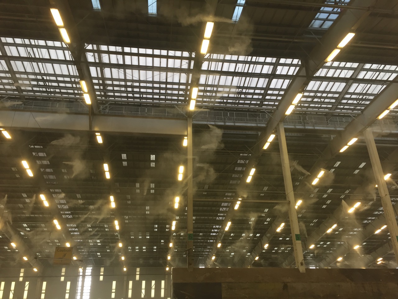 IMG_4075.jpeg