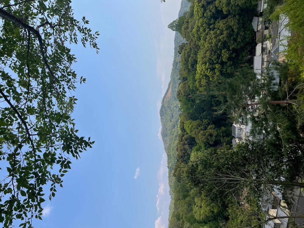 IMG_5213+2.jpeg