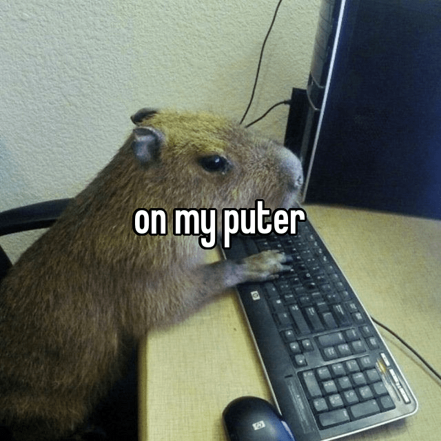 FM4V79AUcAEL45T.png