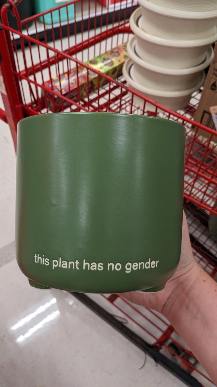 FTKCHTMXwAI3rks.jpeg