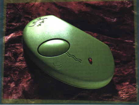 gekko.jpg