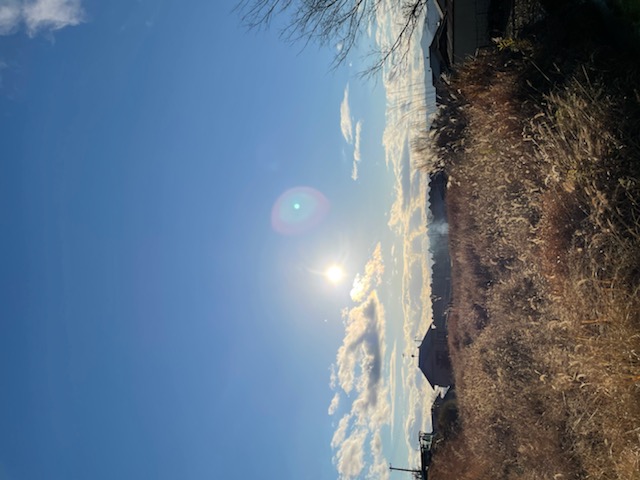 IMG_3599.jpeg