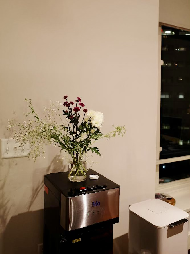 IMG_5382.png