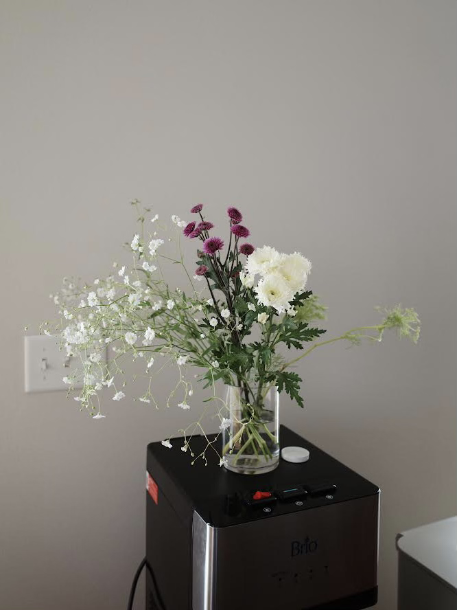IMG_5383+2.png