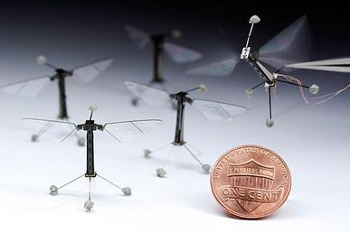 RoboBees.jpg