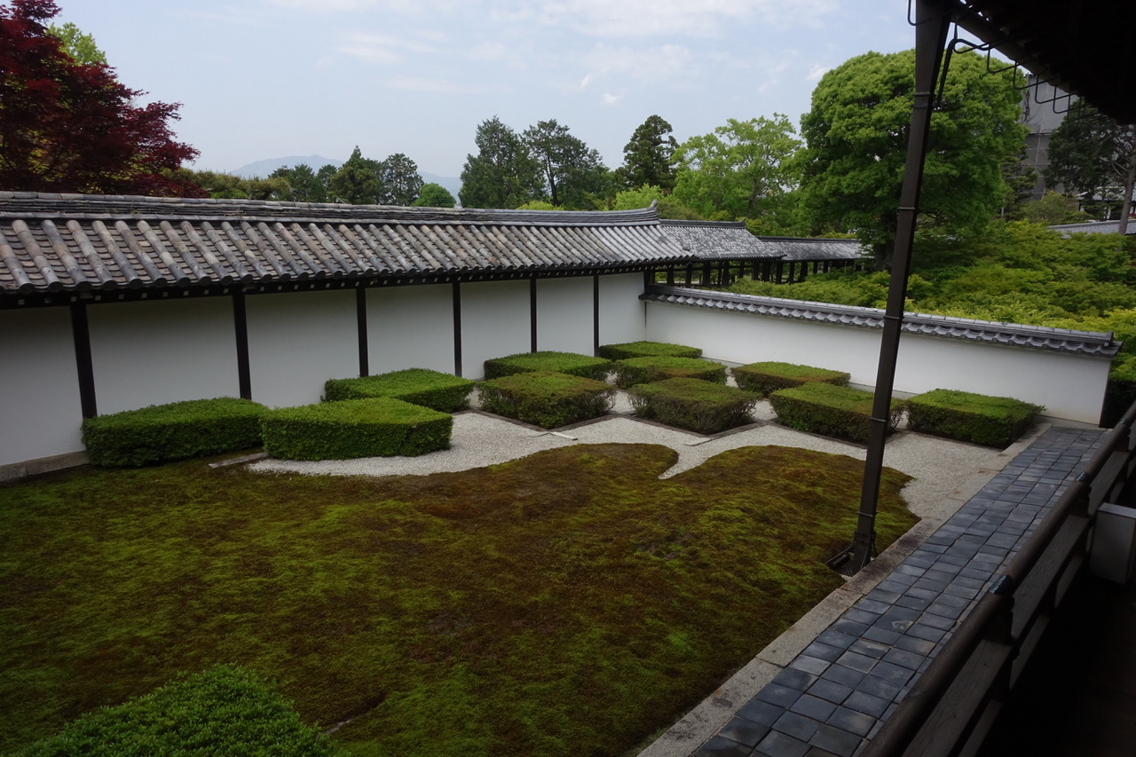 DSC02671.jpeg