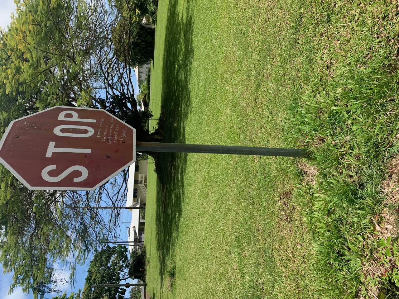 IMG_0386.jpeg