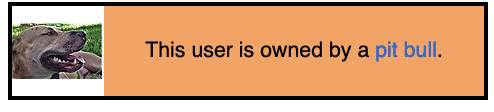 Screenshot 2023-02-25 at 12.22.24 PM.png