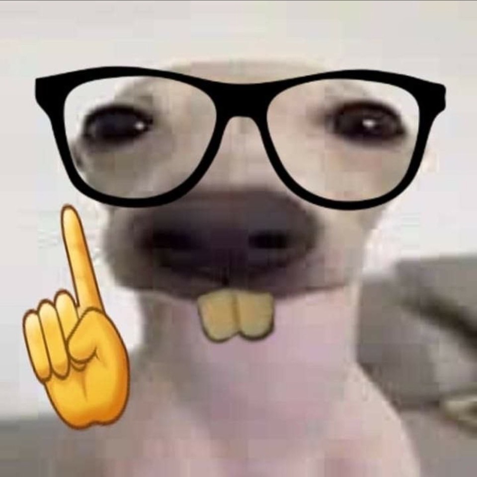 FqjmZzXXsAQD6pd.jpeg