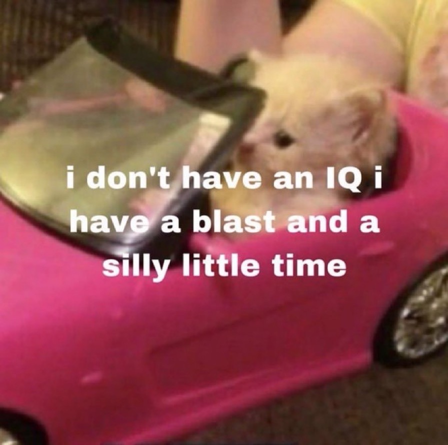 tumblr_8d5fc67cb0bf5e5bd91ceb1cb75badfc_783c9c42_1280.jpg