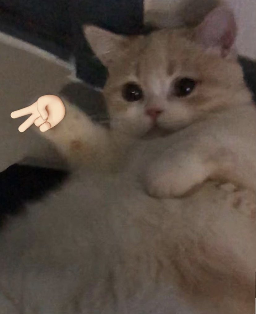 FoQKykkaEAA6Q9I.jpeg