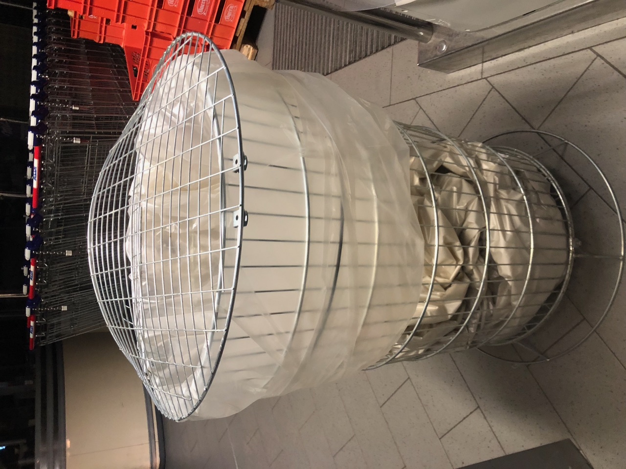 IMG_1971.jpeg