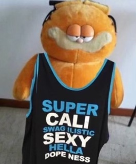IMG_0784.png