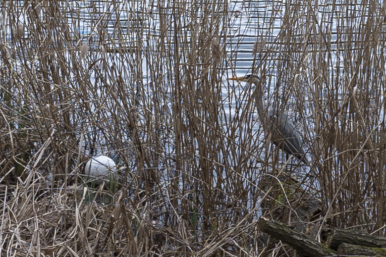 R0000401.JPG
