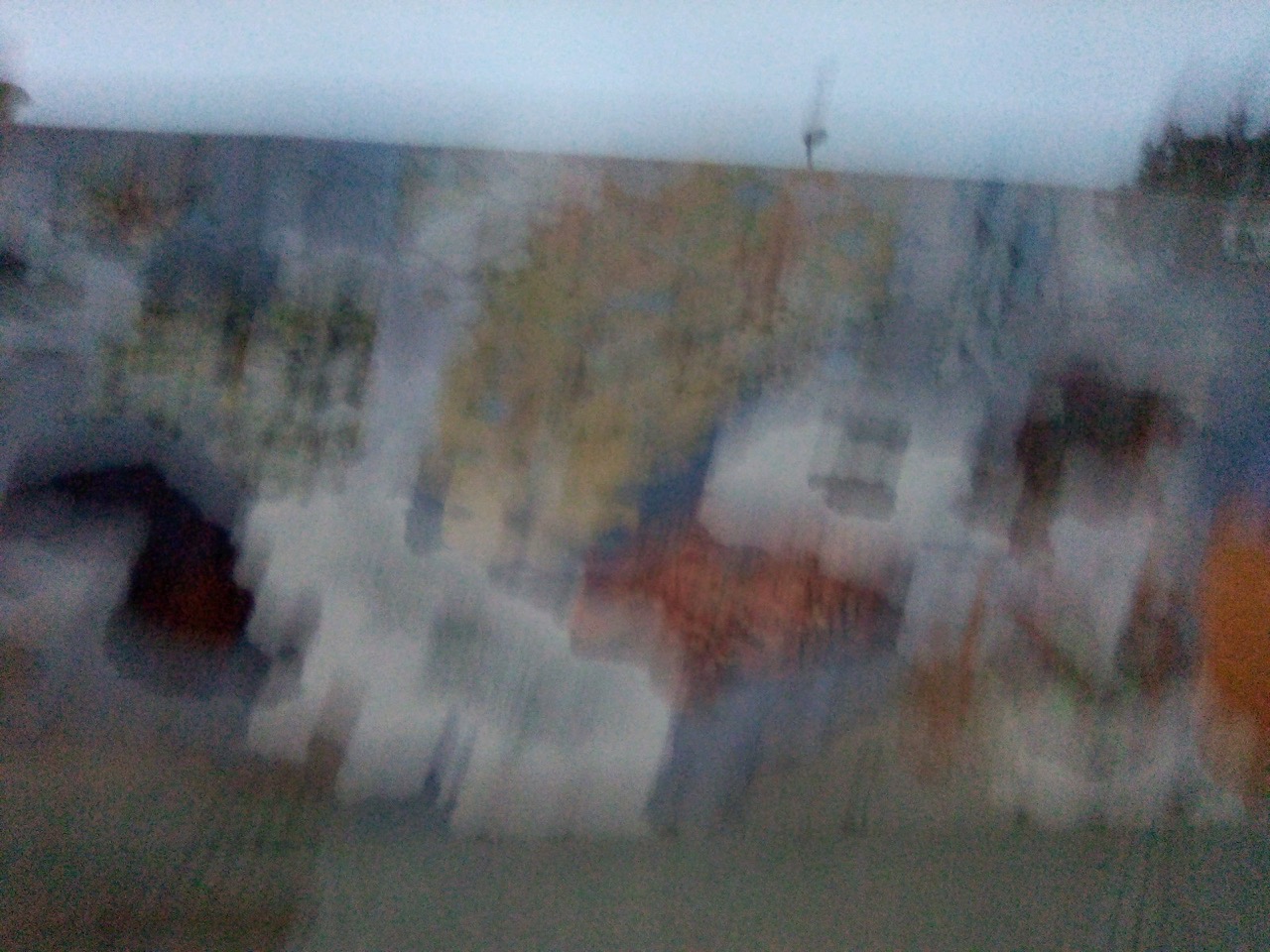 IMG_20200830_195656521.jpeg