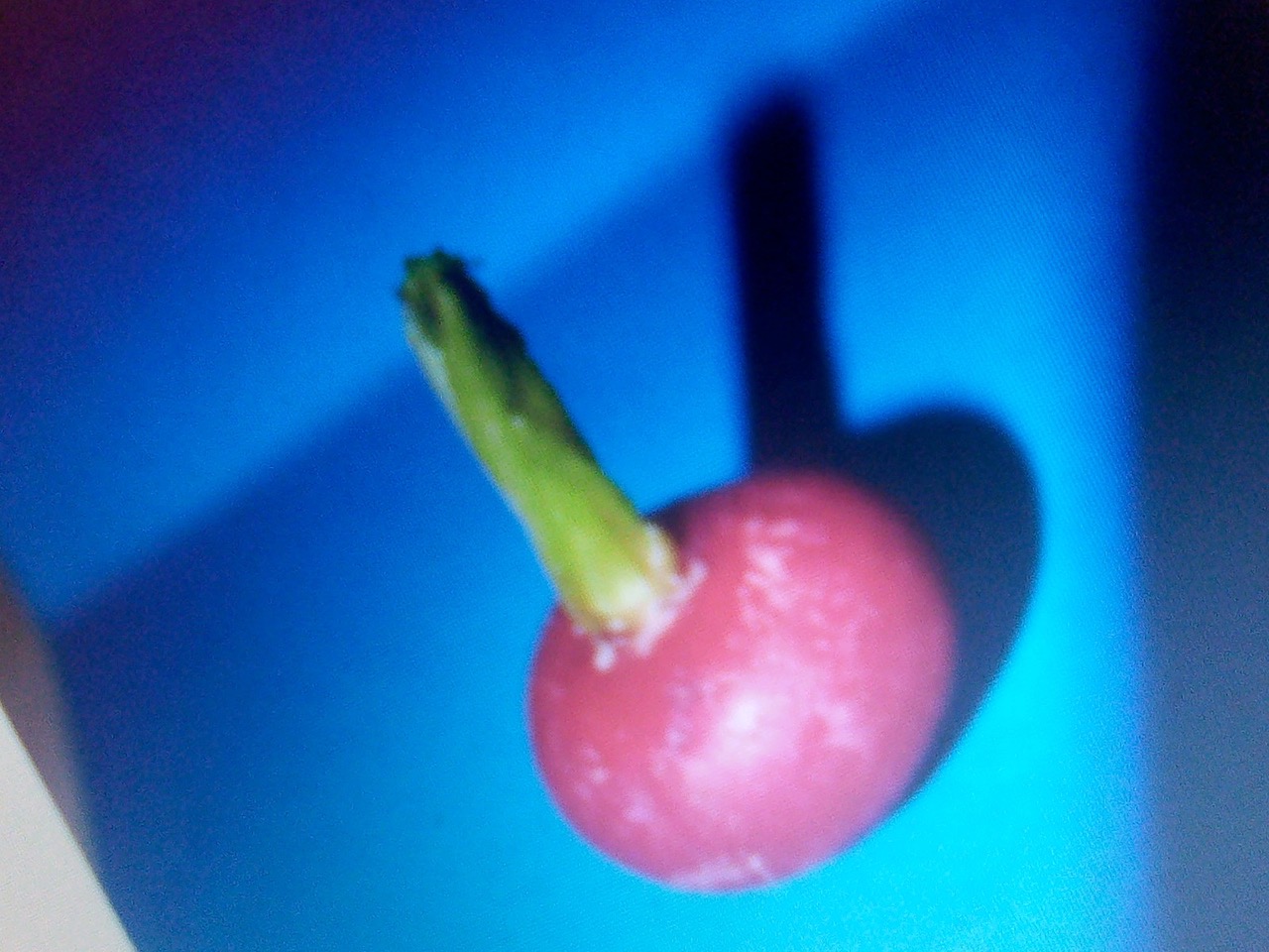 IMG_20201204_183543.jpeg