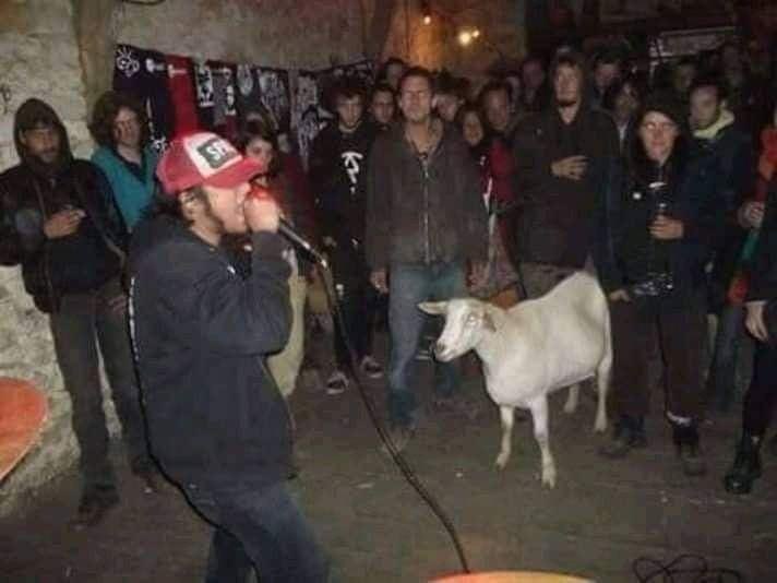 FHKmyyHXoAQrZha.jpeg