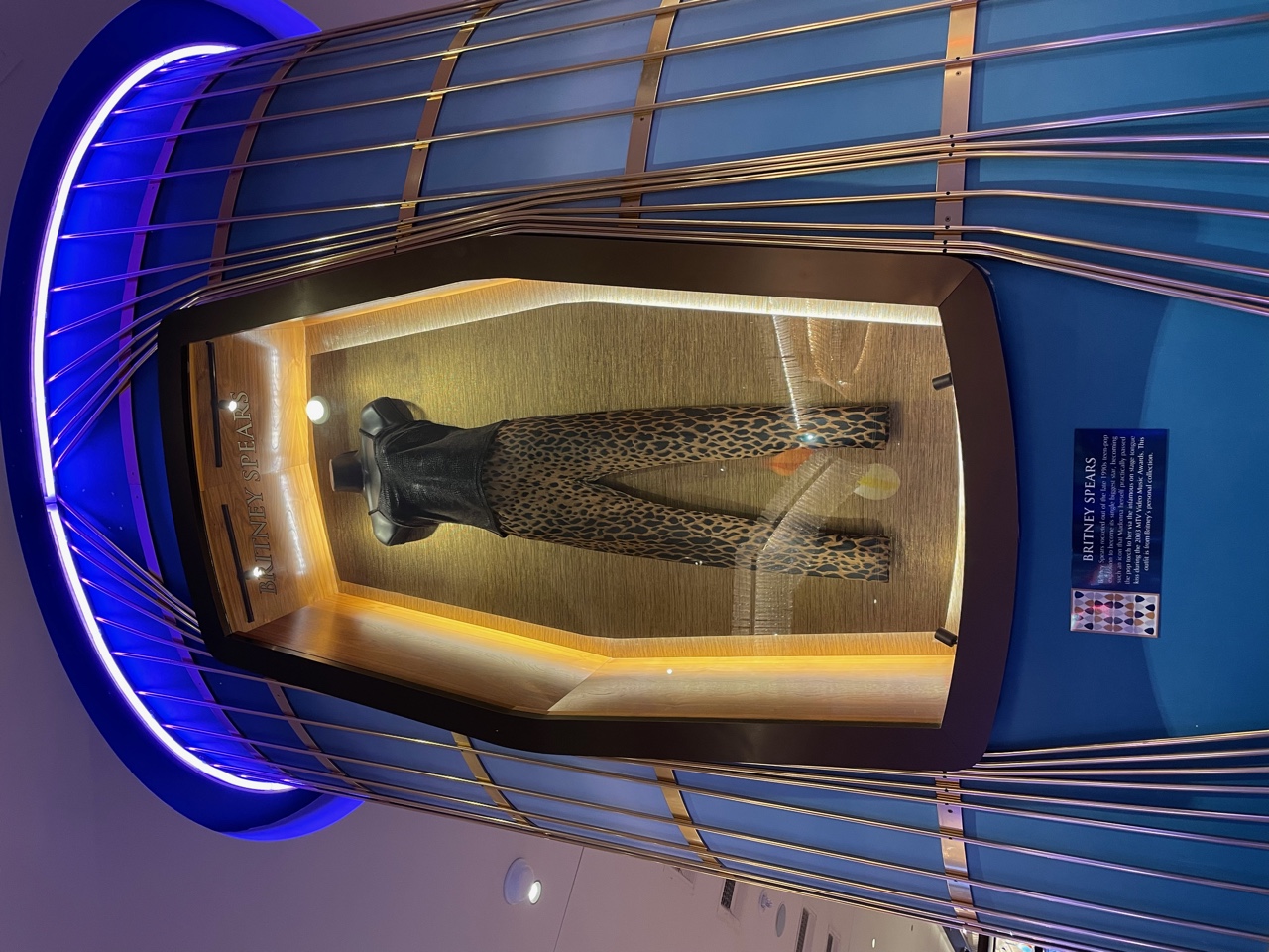 IMG_8271.jpeg