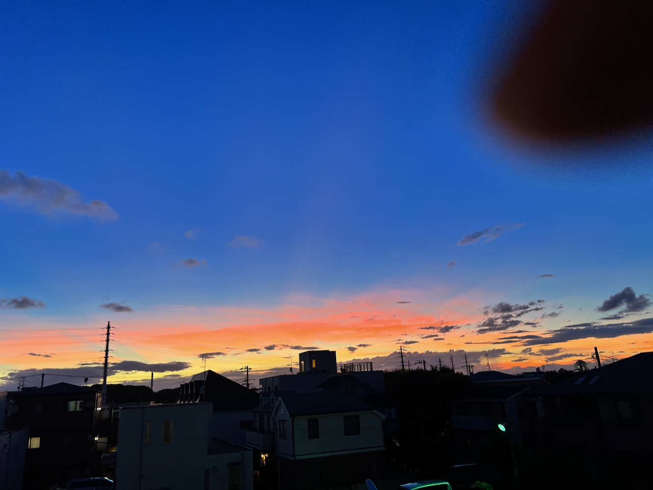 IMG_2969.jpeg