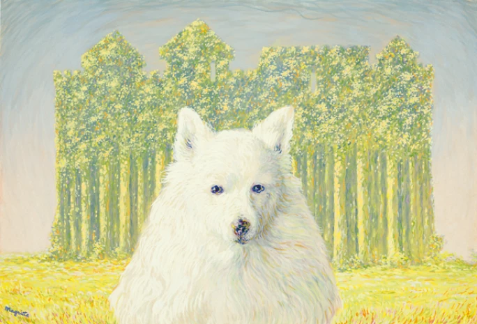 90.jpg