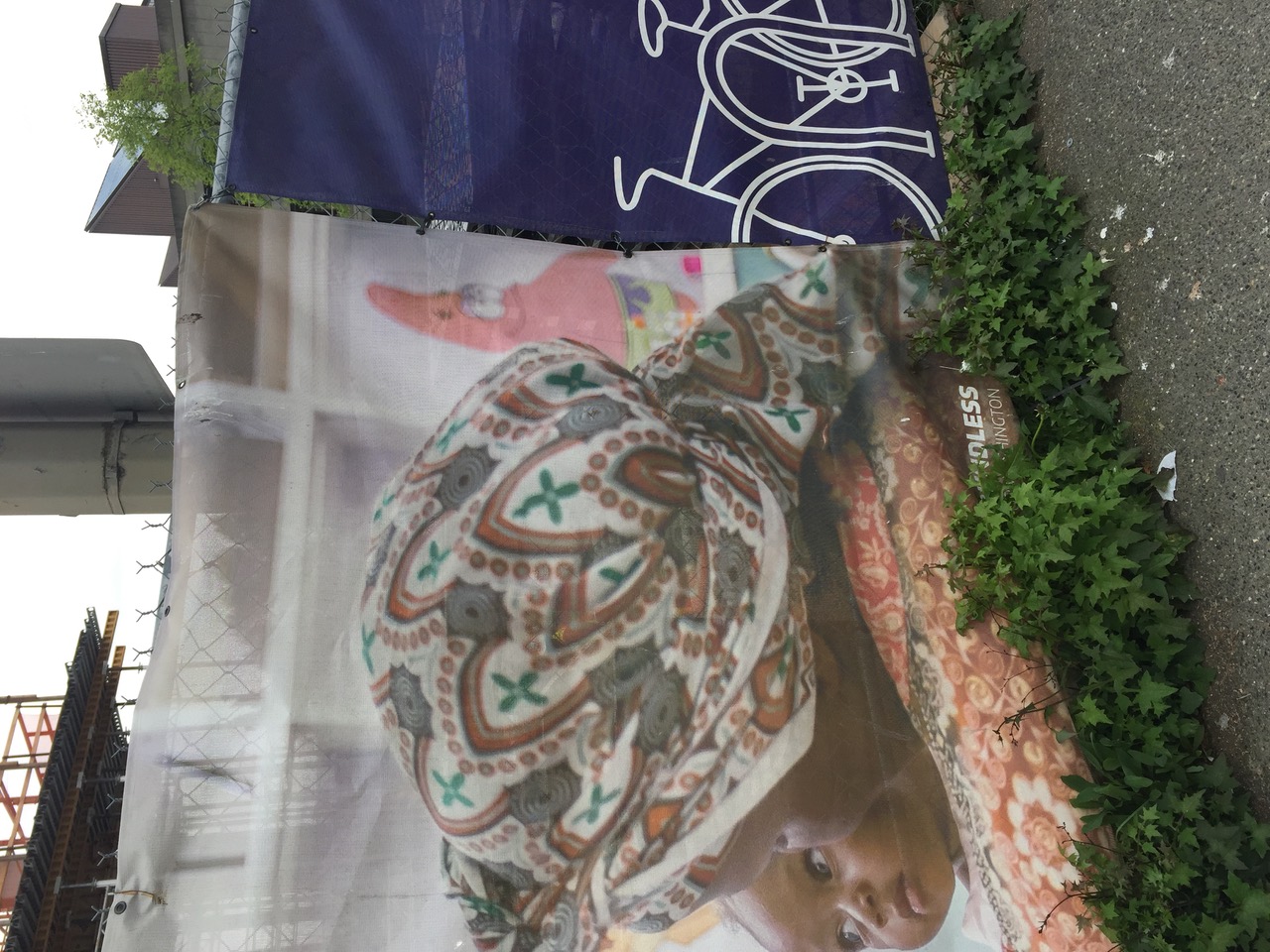 IMG_3823.jpeg