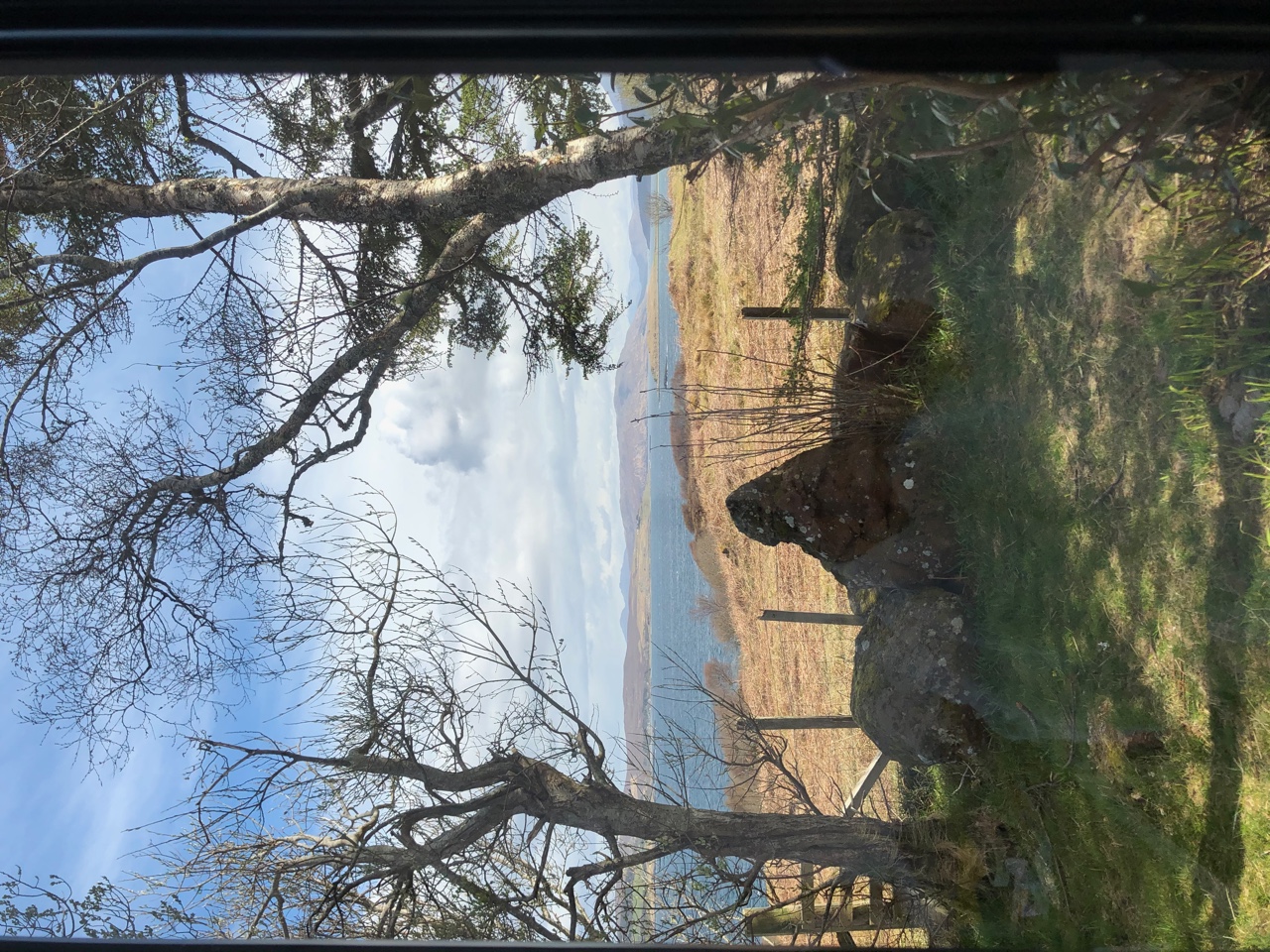 IMG_2012.jpeg