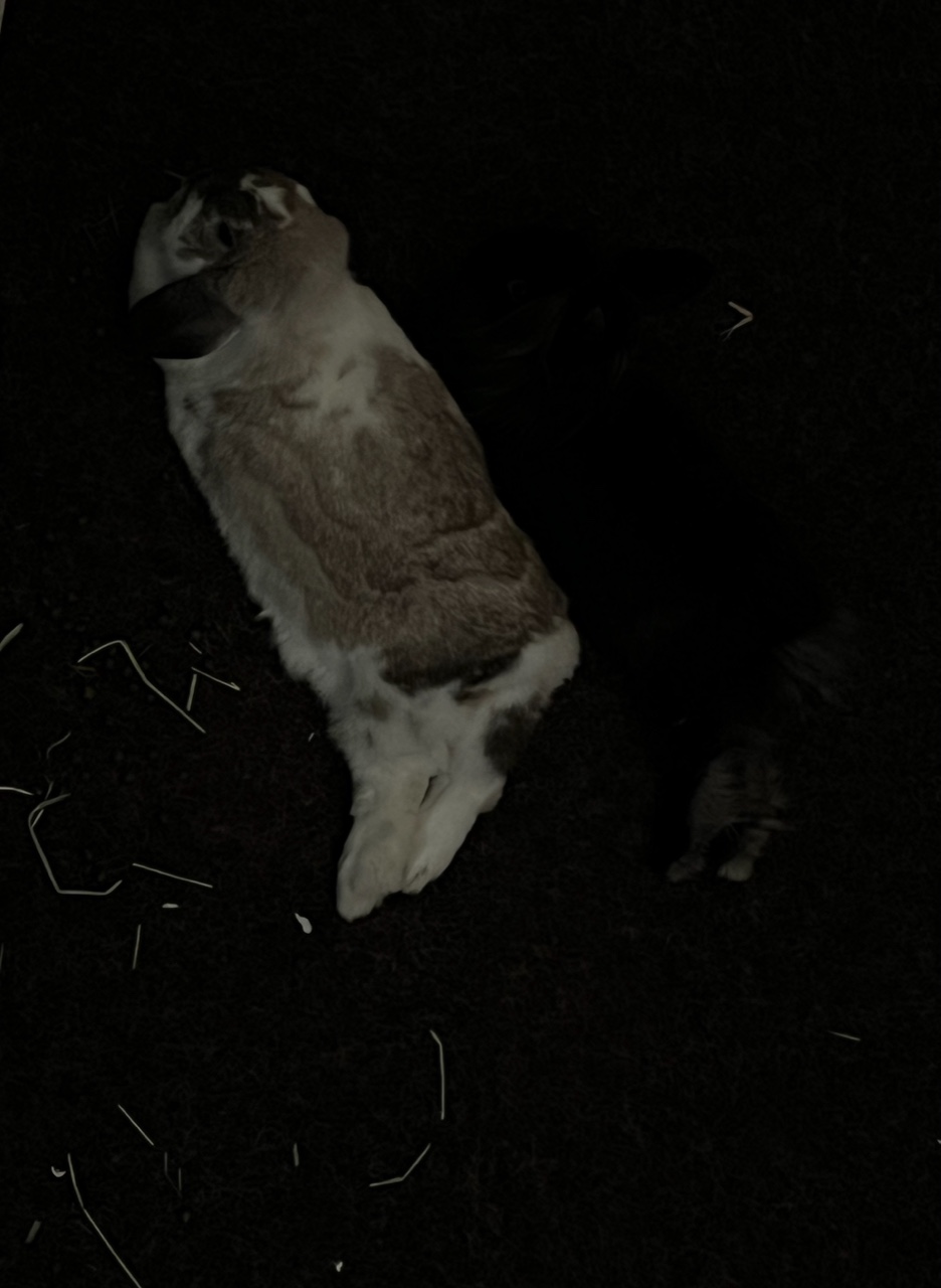 IMG_0863.jpeg