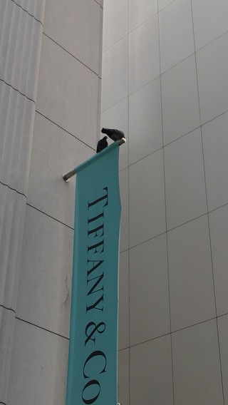 IMG_4051+2.jpeg
