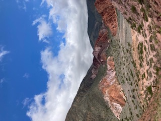 image-1.jpg