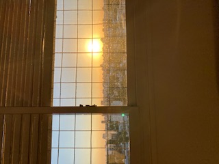 image-2.jpg