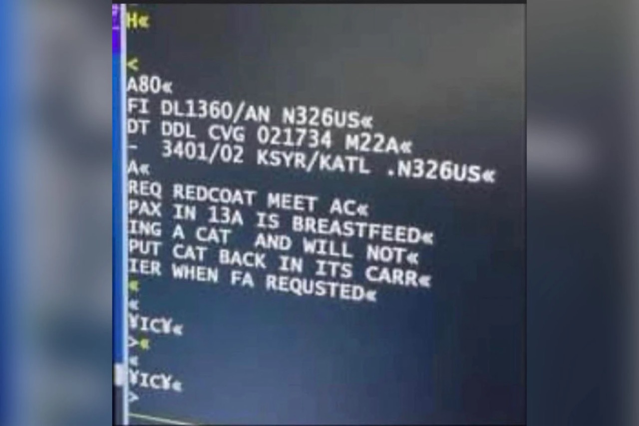 delta-breasfeeding-cat-145.jpg.jpeg