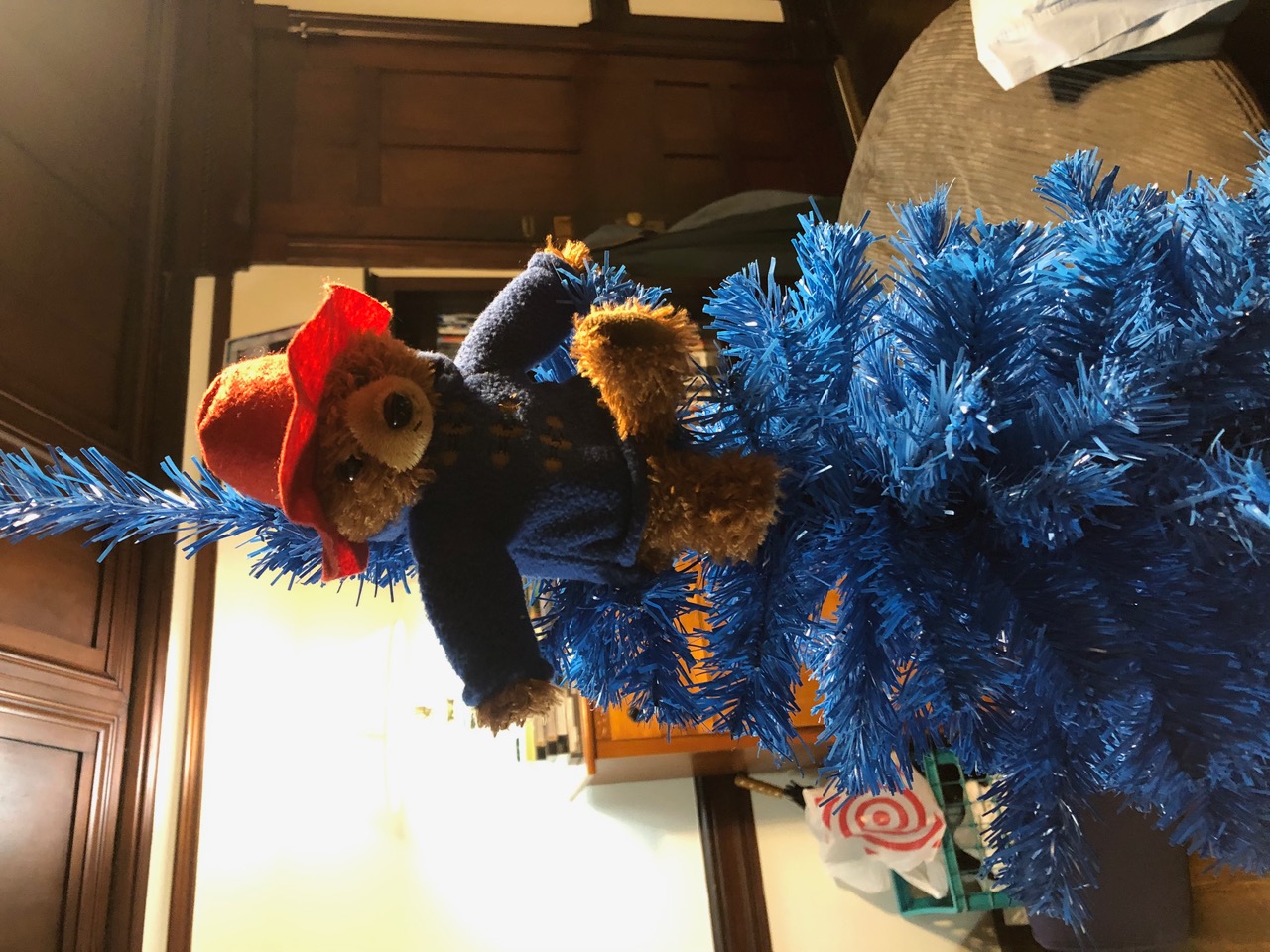 IMG_9697.jpeg