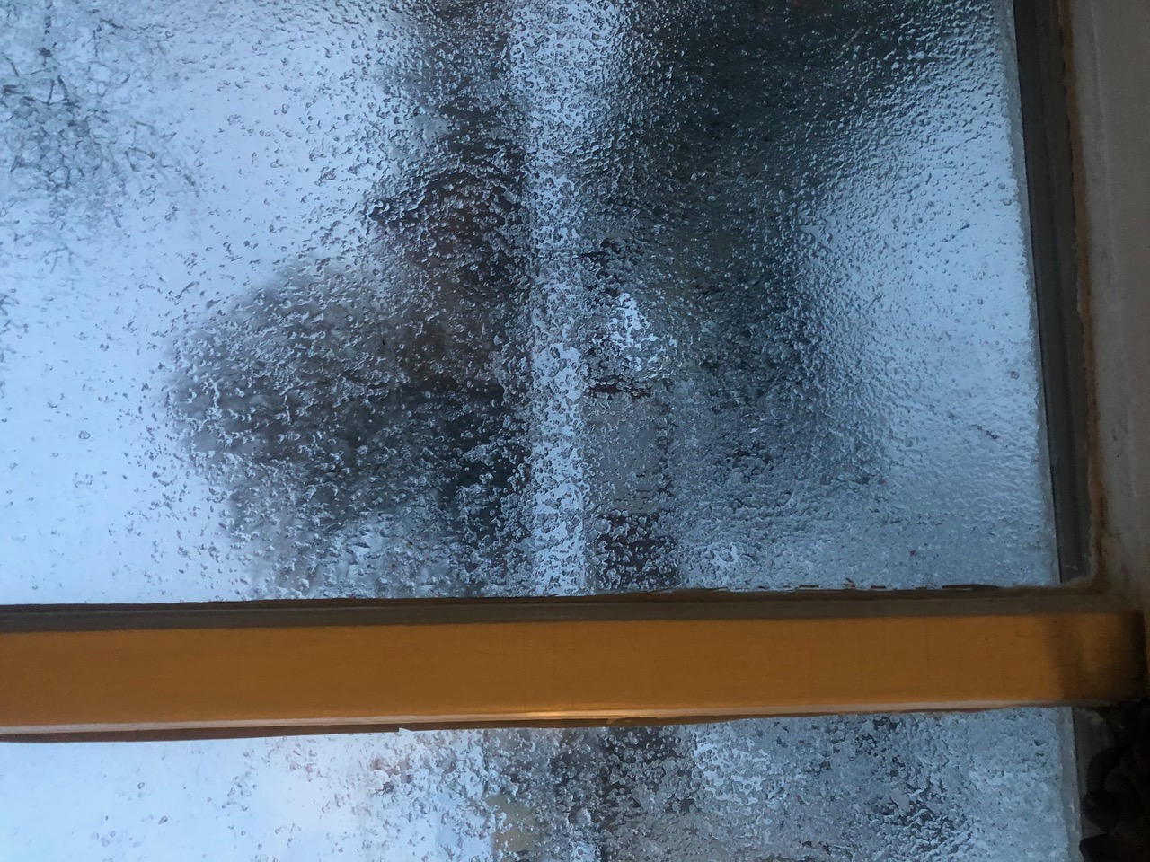 IMG_9715+2.jpeg