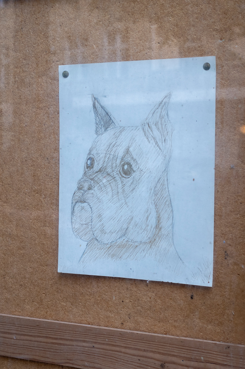 R0004358.jpeg