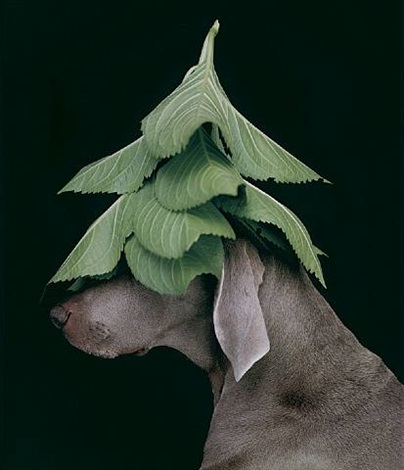 william-wegman-evergreen.jpg