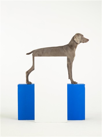 william-wegman-white-out.jpg