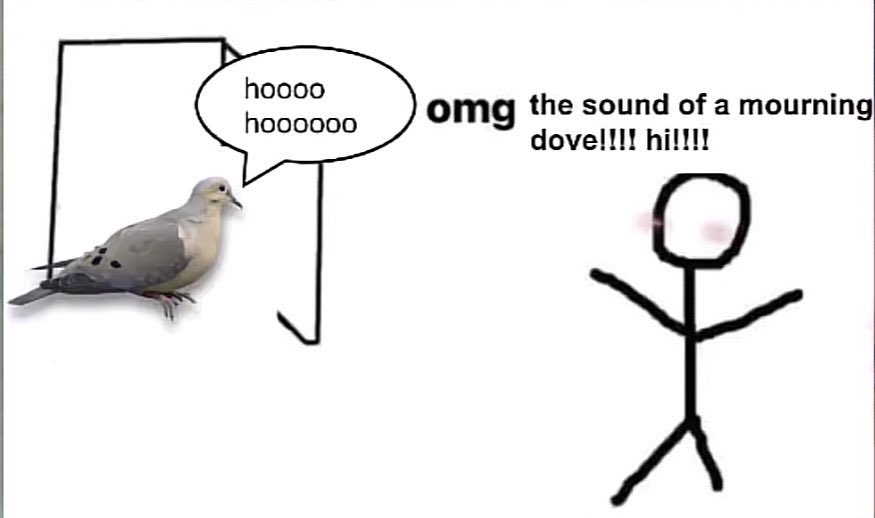 Fb3Se61XkAEaFKa.jpeg