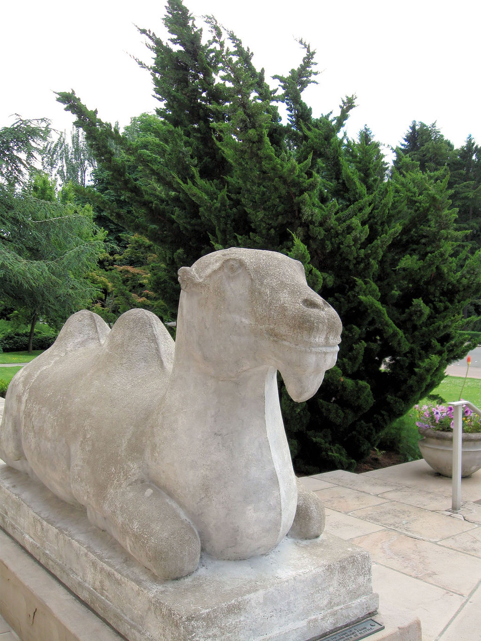 1024px-SAAM_camel_statue.jpeg