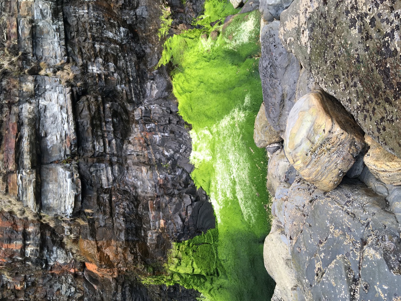 IMG_0771.jpeg