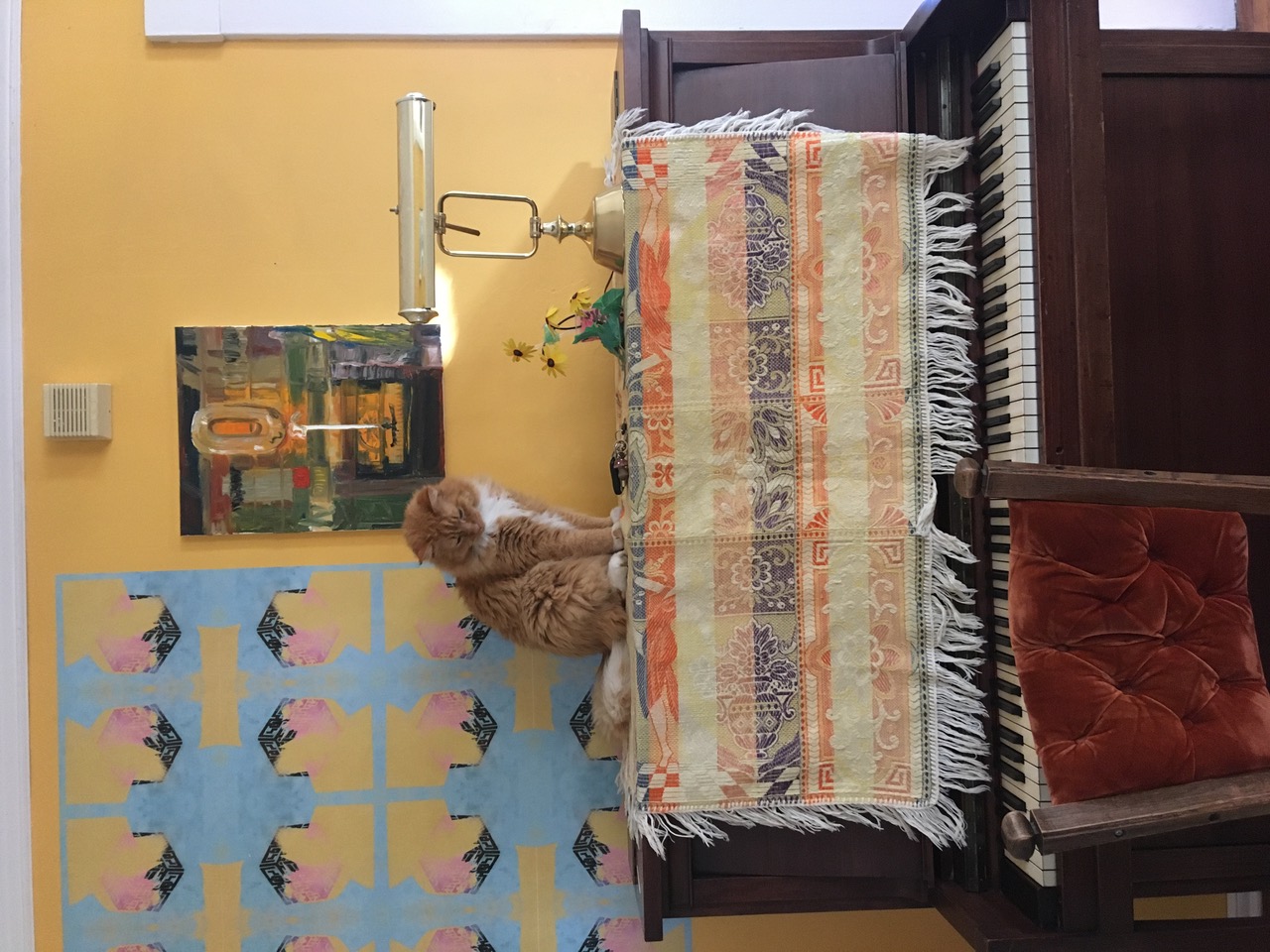 IMG_0829.jpeg