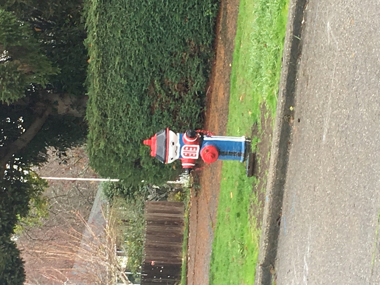 IMG_9633+2.jpeg