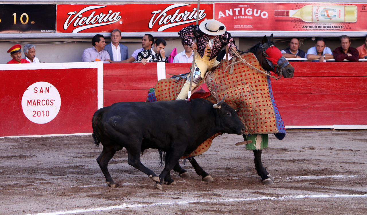 San_marcos_bullfight_13.jpeg